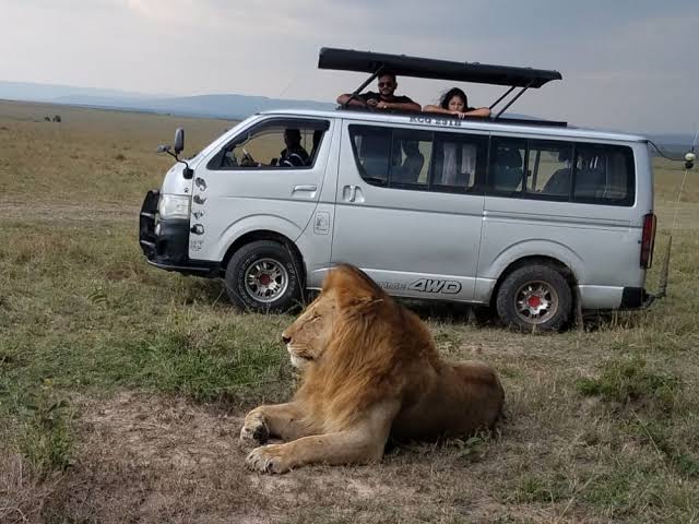 Safari Mini Bus